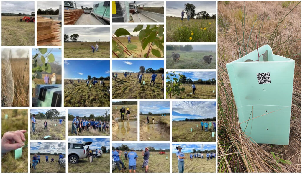 Tree Planting the EcoForce Global method